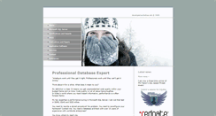 Desktop Screenshot of developerworkshop.net